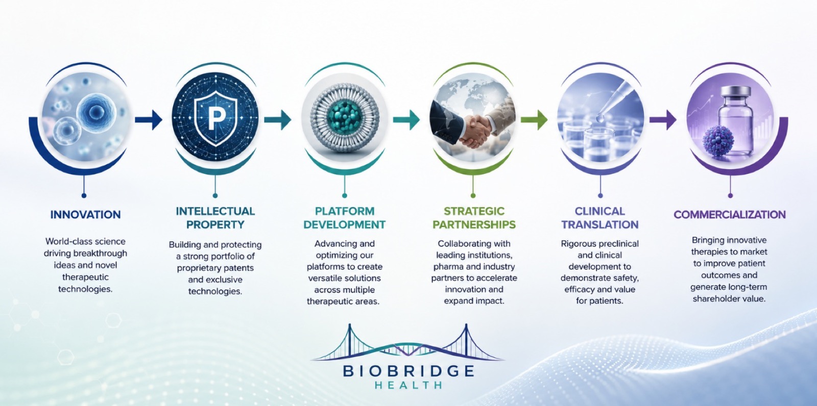 BioBridge Health development model: Innovation, Intellectual Property, Platform Development, Strategic Partnerships, Clinical Translation, and Commercialization.